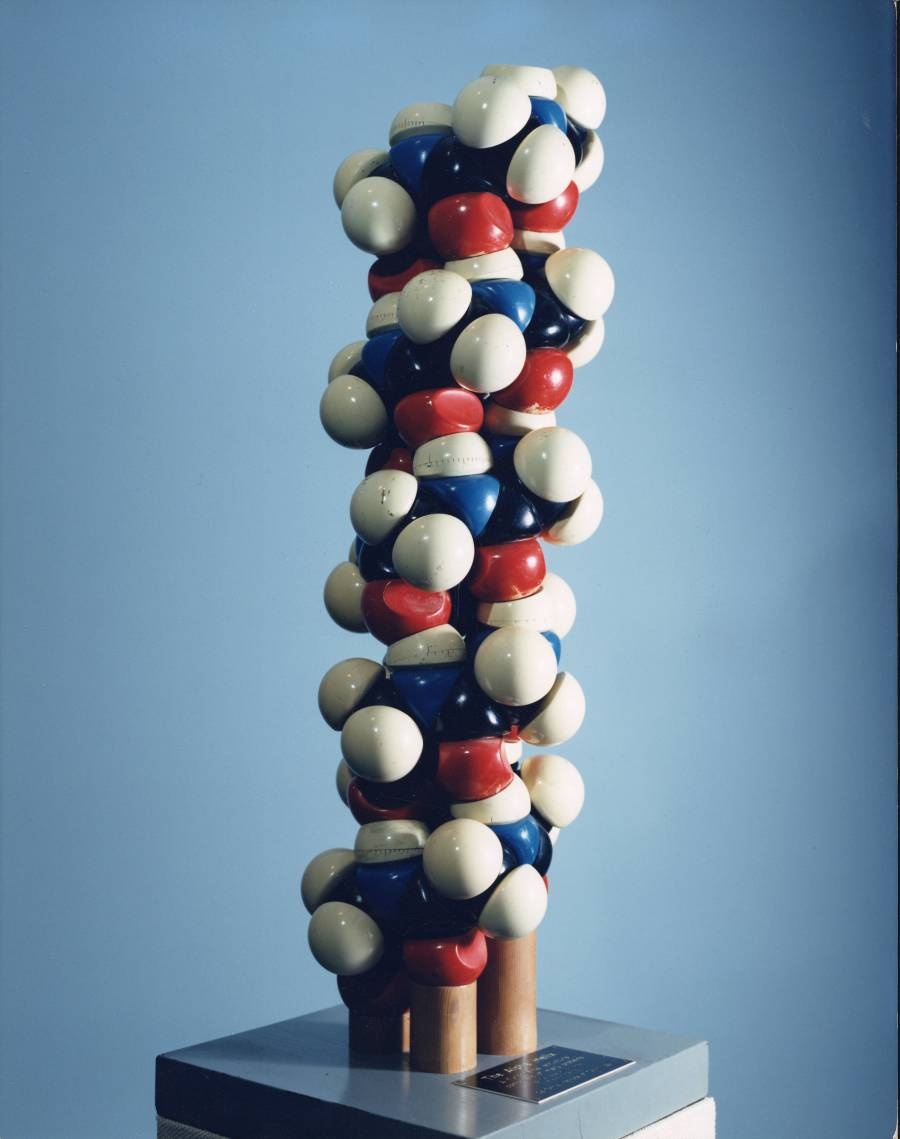 Linus Paulingin DNA-malli