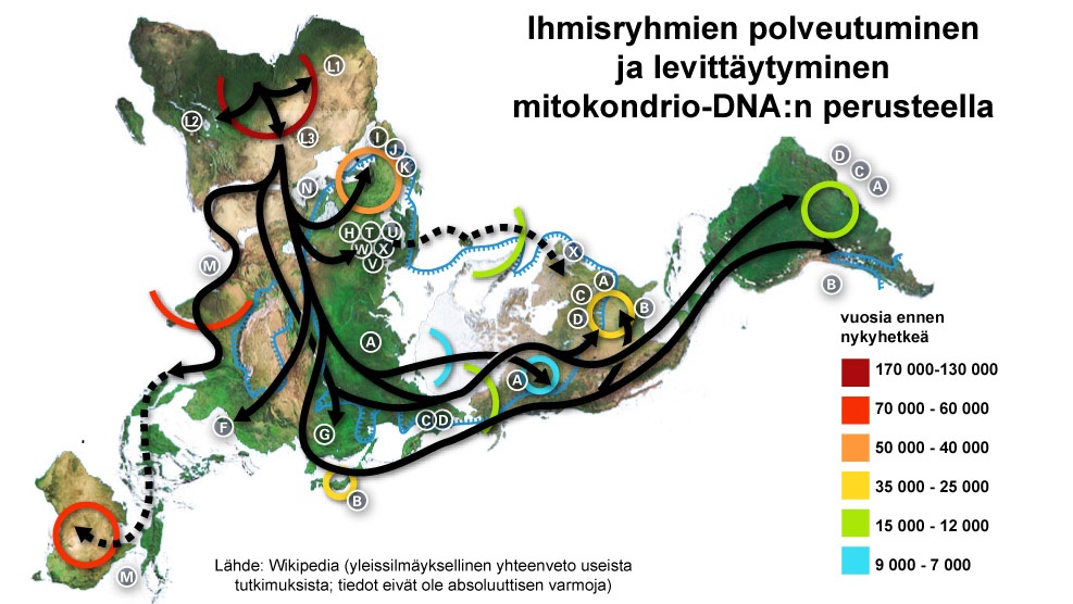 Suuntaa-antava kartta ihmisten liikkeistä ja äitilinjan polveutumisesta mtDNAn perusteella.