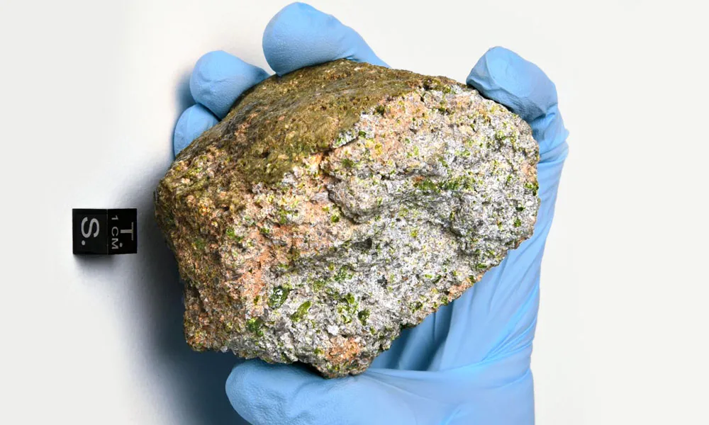 Kuva meteoriitista. (ASU Center for Meteorite Studies)