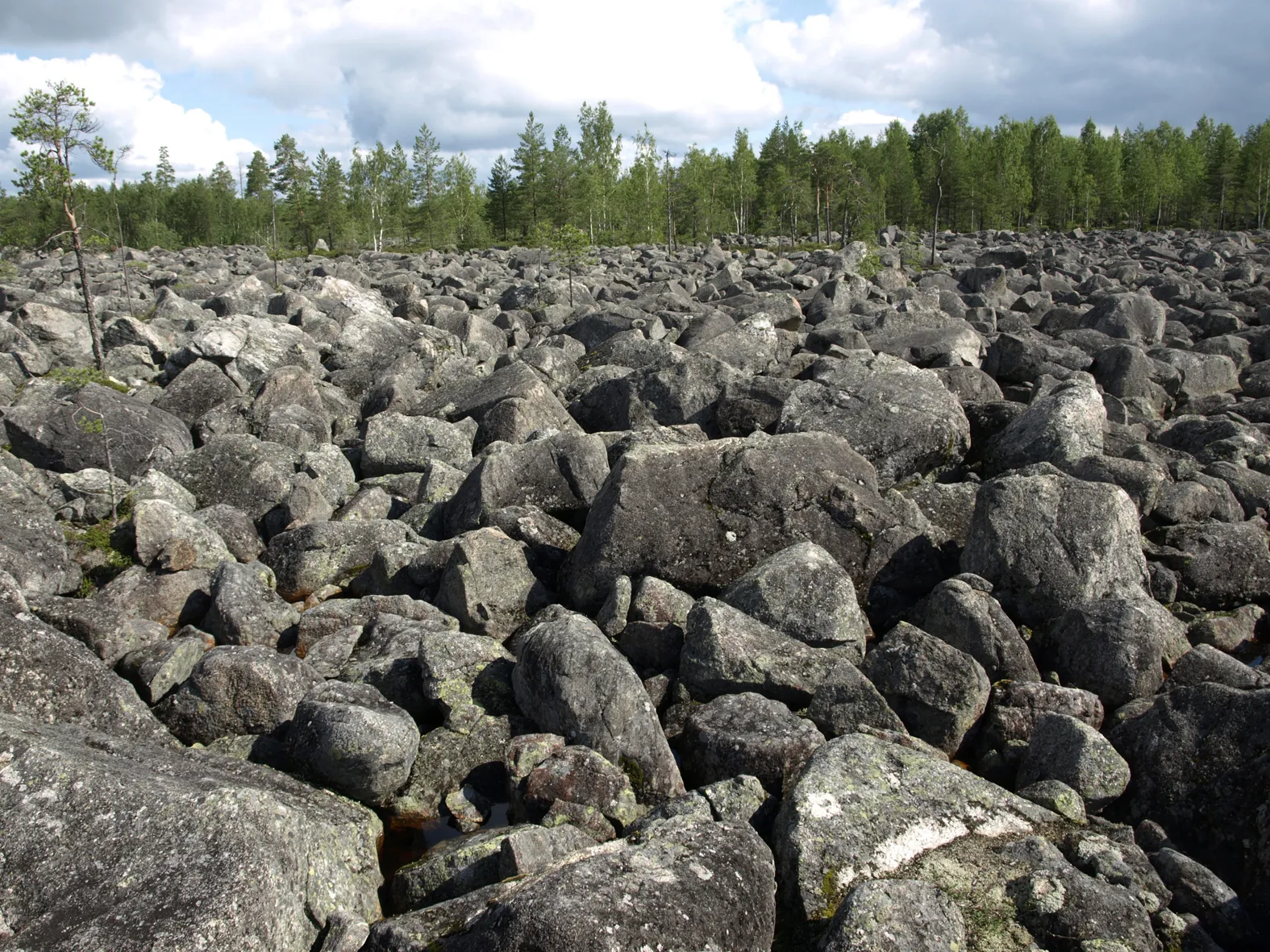 Töppösen luolikko