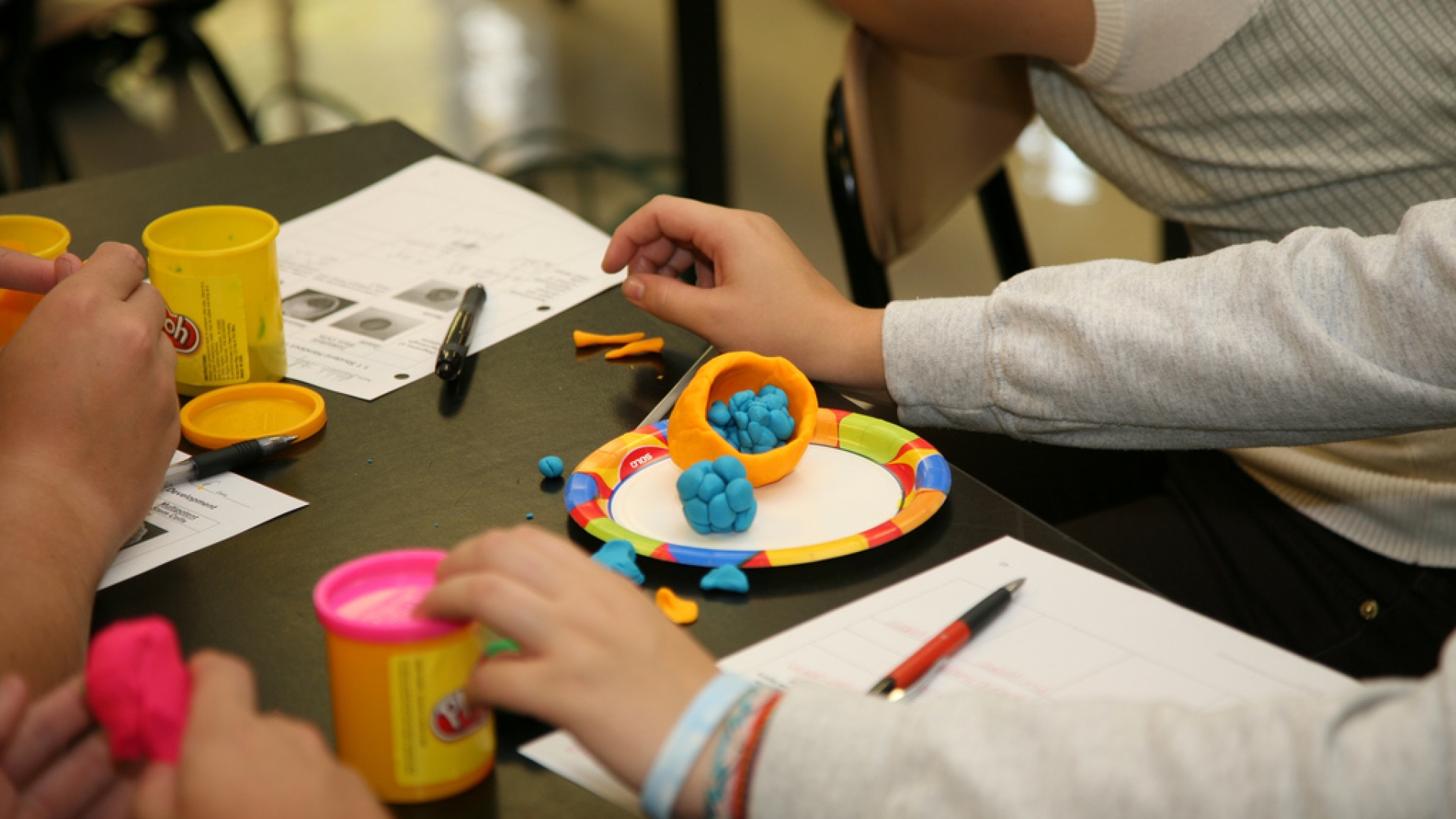 Kuva: Nortwest Association for Biomedical Research / Flickr