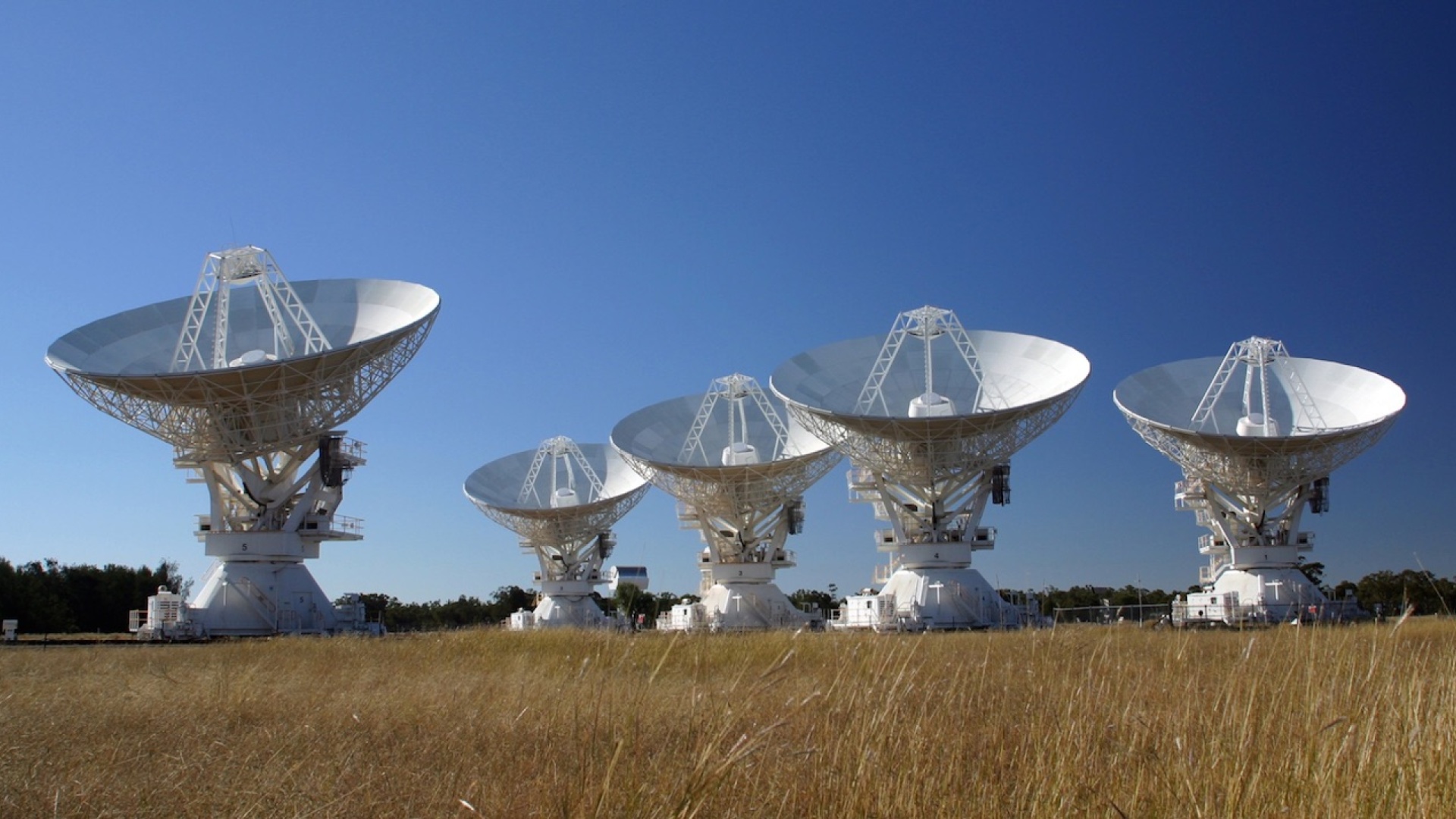 Compact Array Telescope