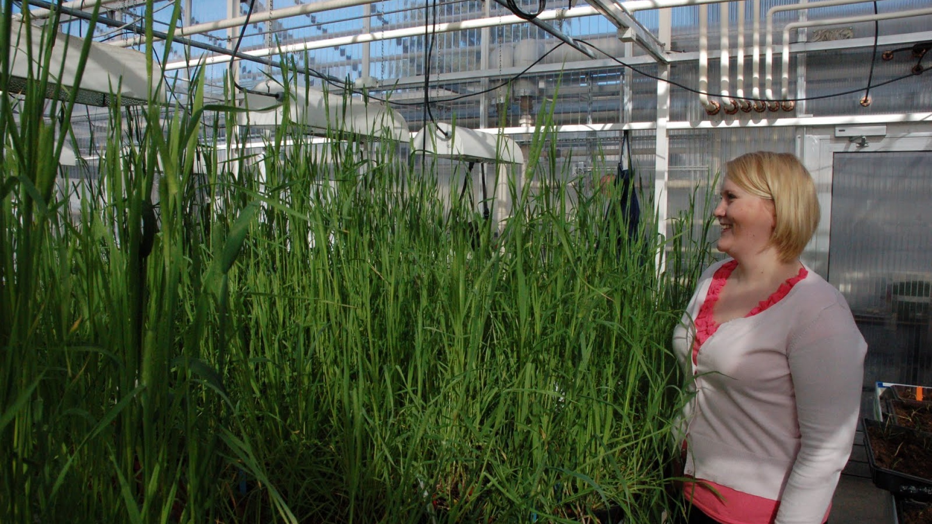 Venla Jokela kasvihuoneella