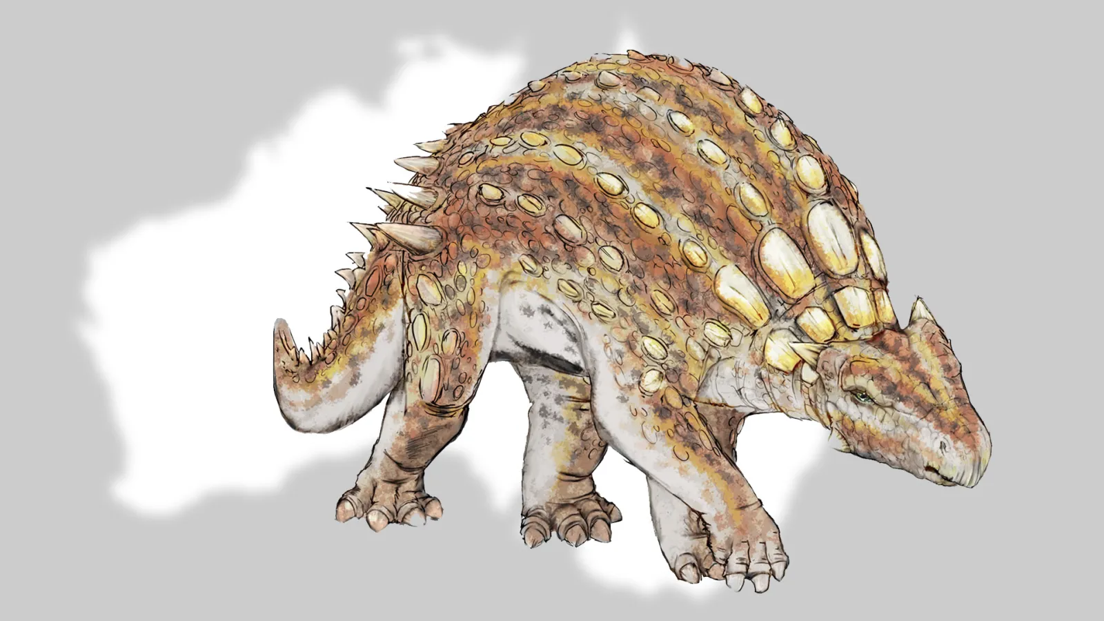 Minmi-dinosaurus