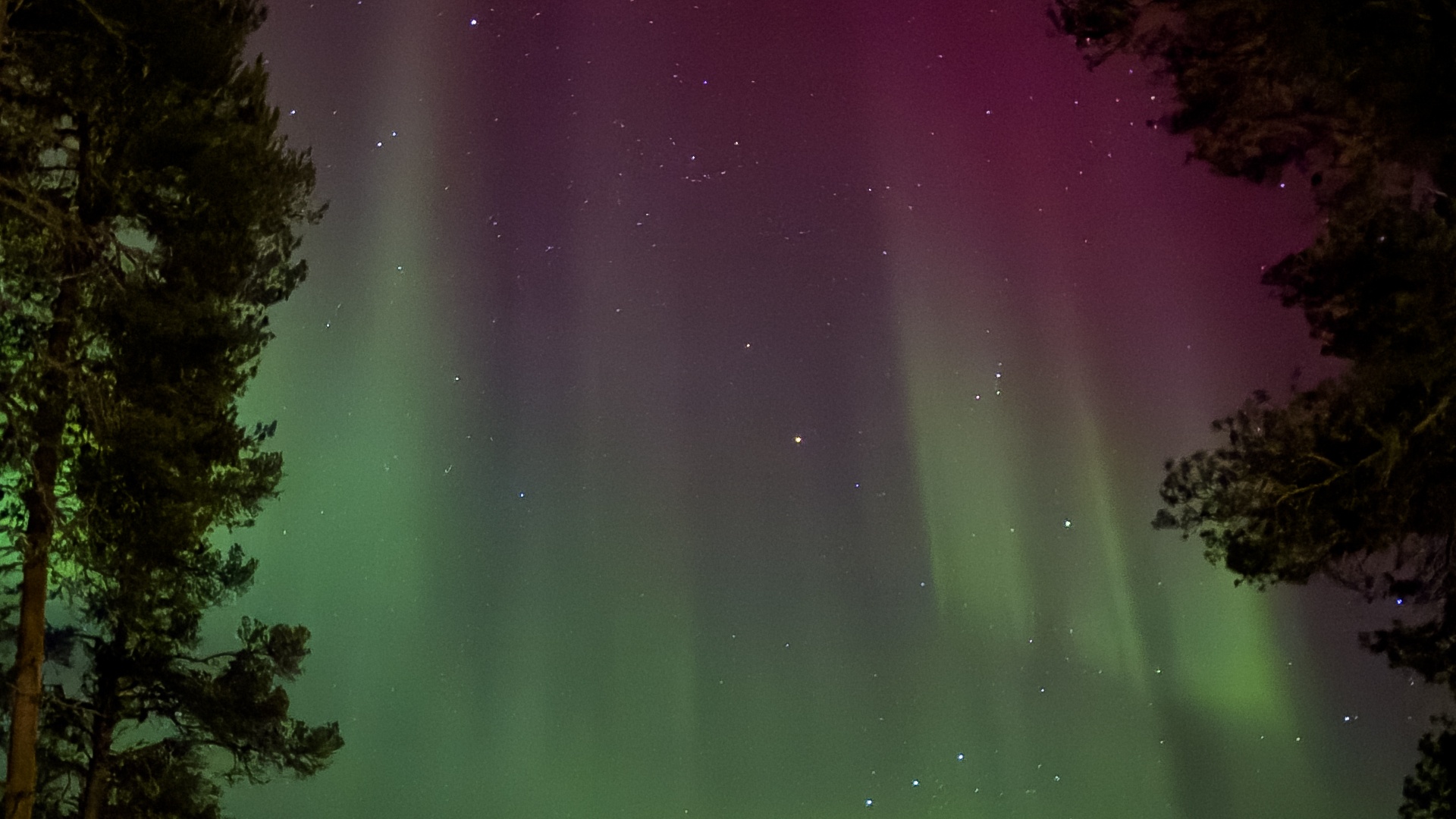 Revontulia Sodankylässä 31.12.2024