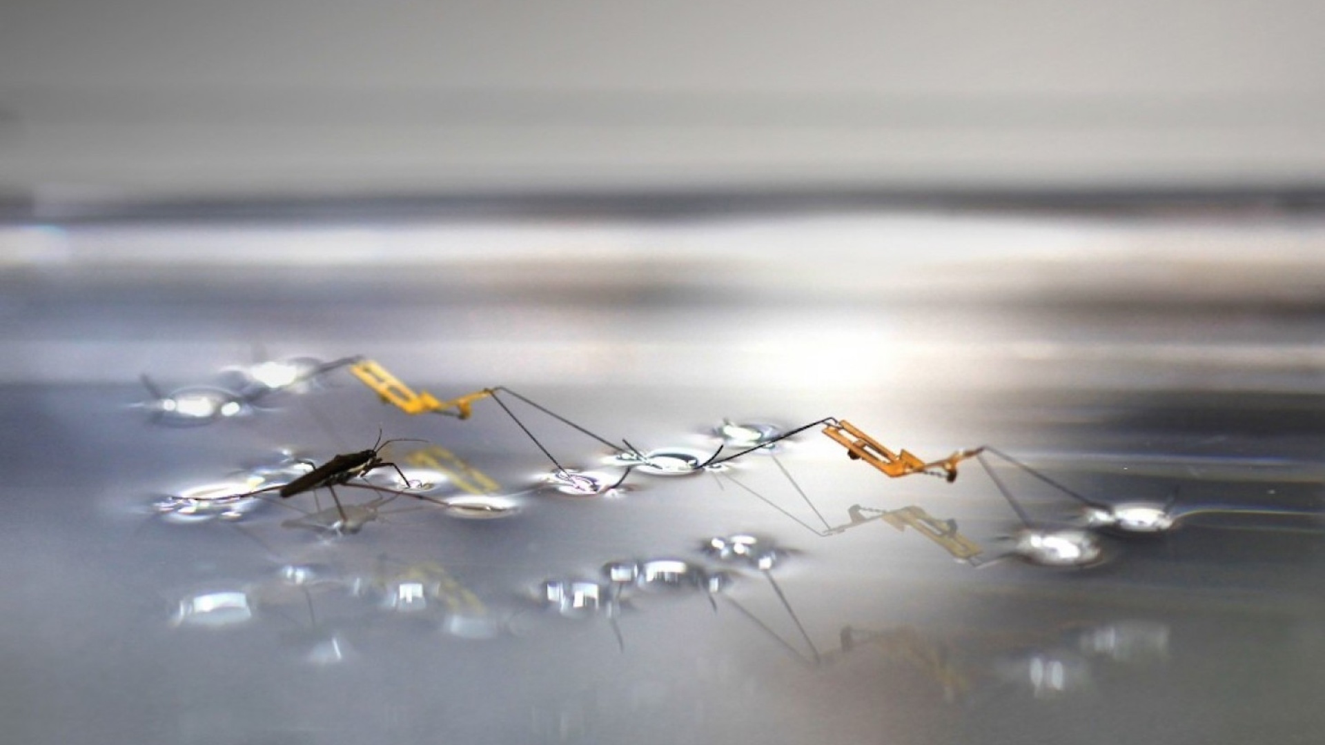 Vesimittari ja robottiötököitä