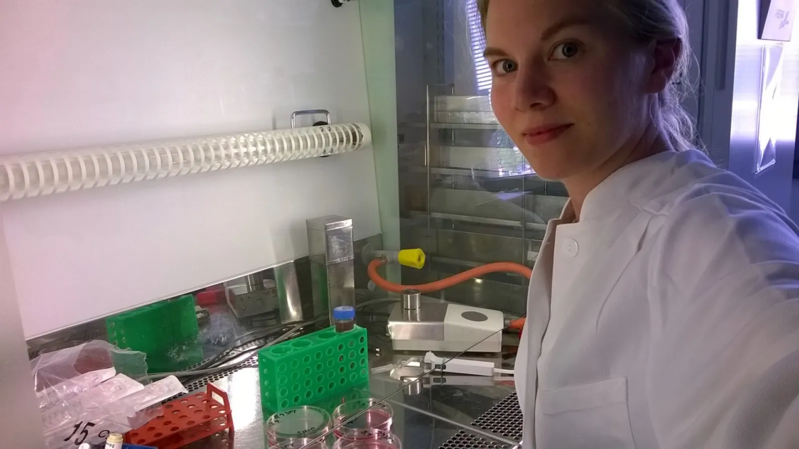 Sonja Lindfors