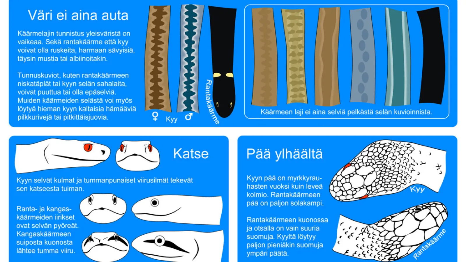Kuva: Jarmo Korteniemi 2017