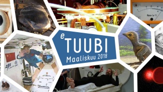 Kooste maaliskuun eTuubin kuvista