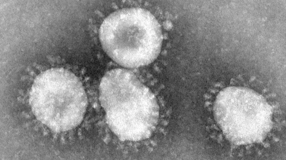 Koronavirus
